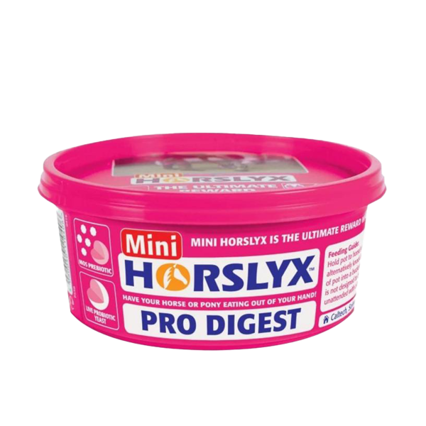 Horslyx Pro Digest 650g